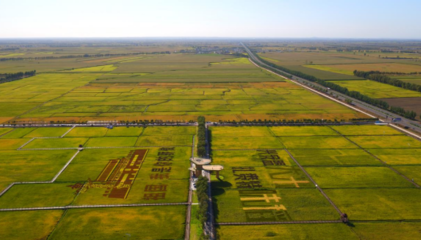 科技賦能 綠色崛起——扎賚特旗農(nóng)畜產(chǎn)品加工產(chǎn)業(yè)集群入圍自治區(qū)級(jí)名單