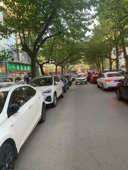大白楊南路至大興東路路口 緩堵保暢交通設施的缺失與建議